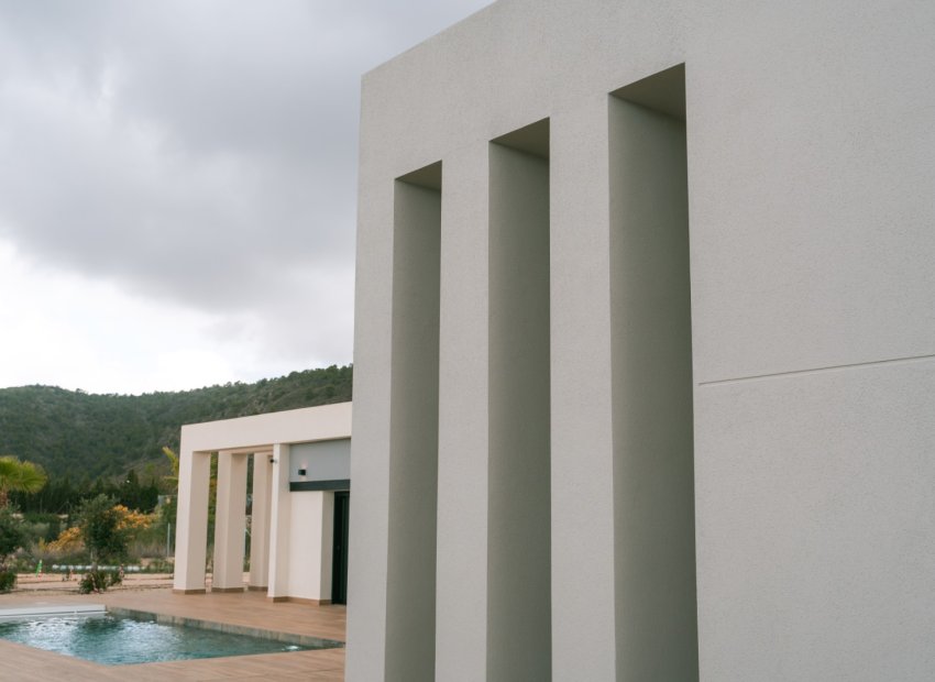 Obra nueva - Villa - Pinoso