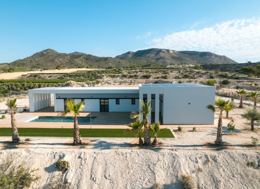 Obra nueva - Villa - Pinoso