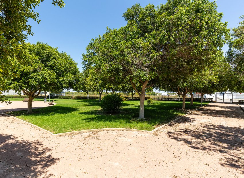 Obra nueva - Villa - Rafal