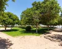 Obra nueva - Villa - Rafal