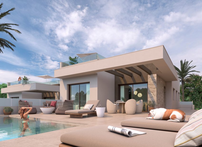 Obra nueva - Villa - Rojales