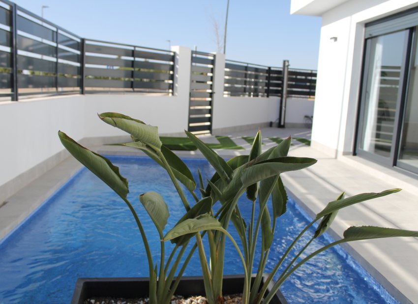 Obra nueva - Villa - Roldán