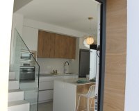 Obra nueva - Villa - Roldán