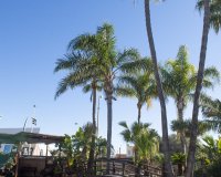 Obra nueva - Villa - San Pedro del Pinatar