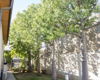 Obra nueva - Villa - San Pedro del Pinatar