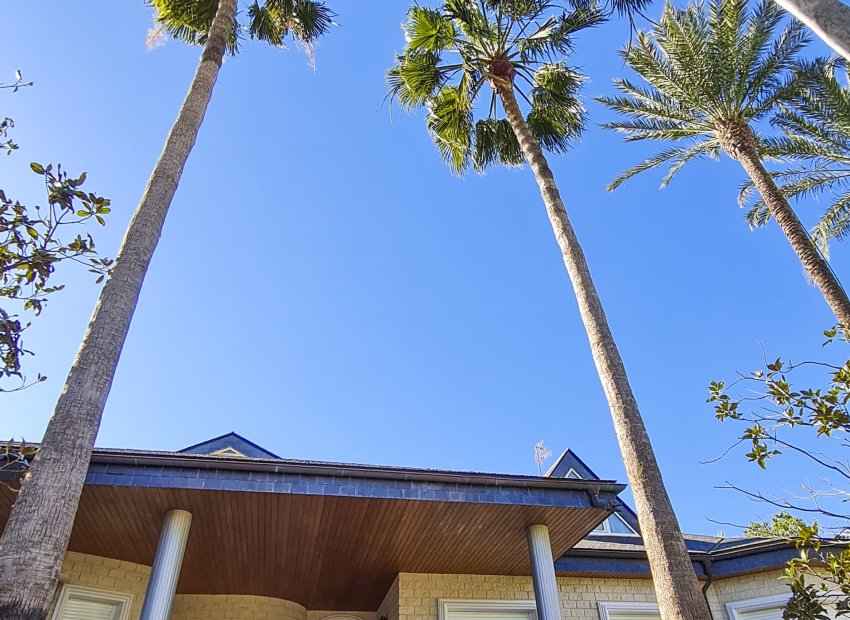 Obra nueva - Villa - San Pedro del Pinatar