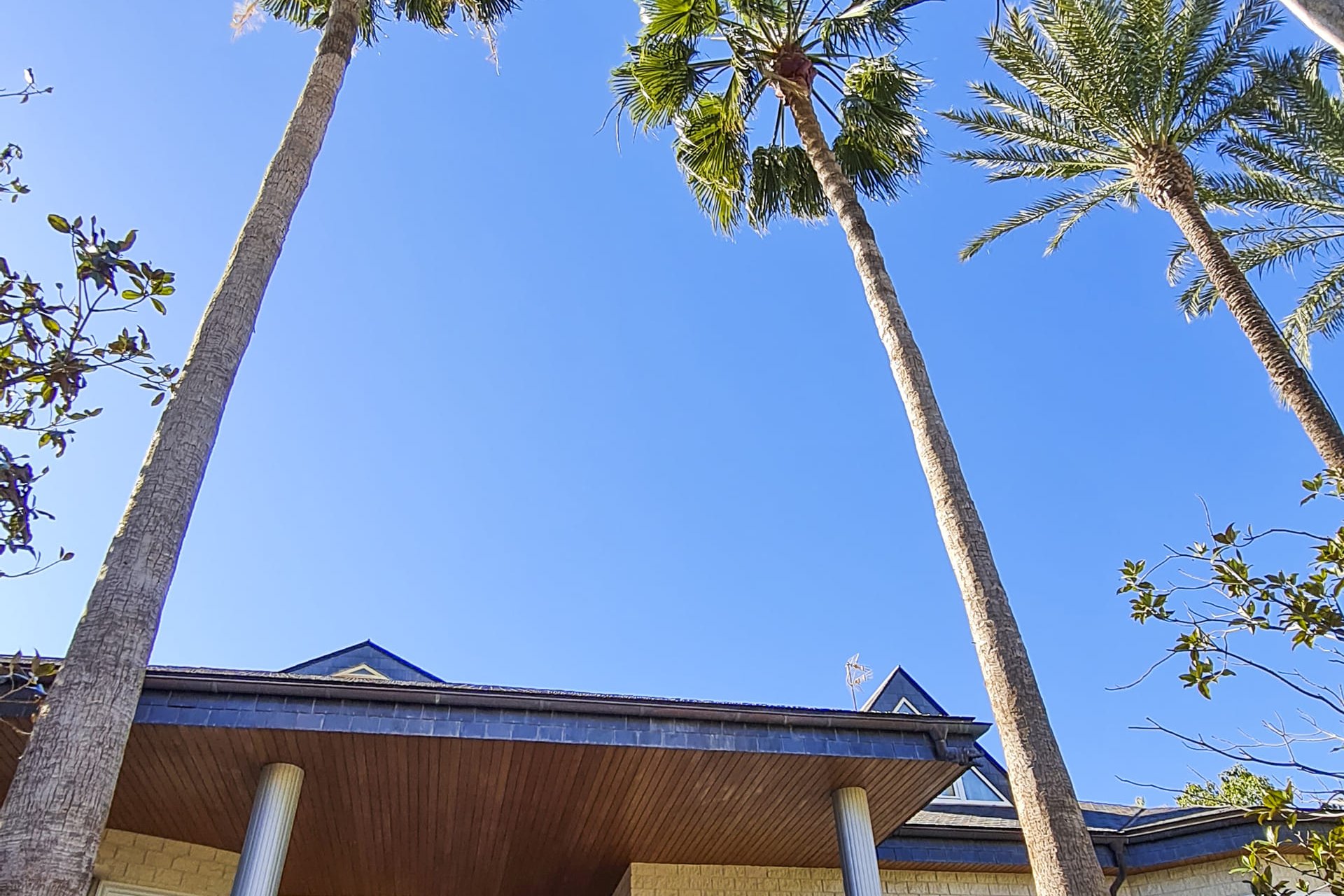 Obra nueva - Villa - San Pedro del Pinatar