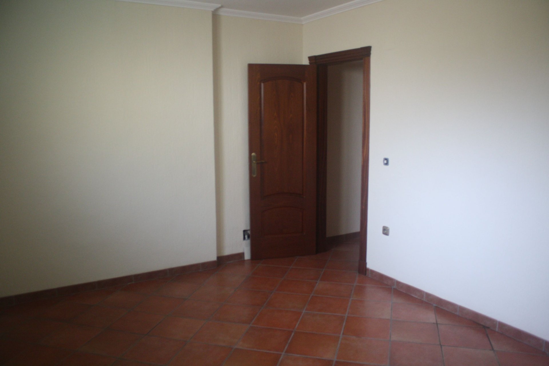 Obra nueva - Villa - Torrevieia - Torrevieja