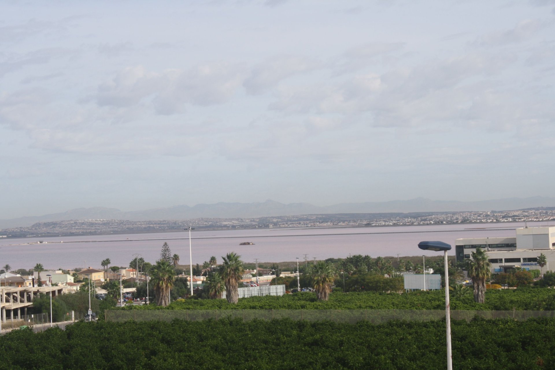 Obra nueva - Villa - Torrevieia - Torrevieja