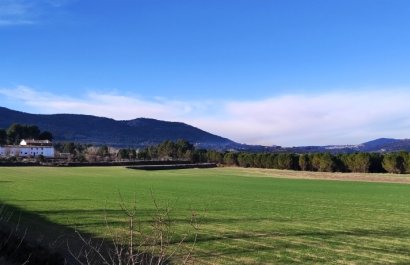 Parcela / Terreno - Reventa - Alfafara - Alfafara