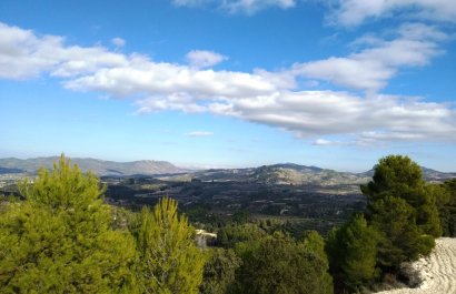 Parcela / Terreno - Reventa - Benillup - Benillup