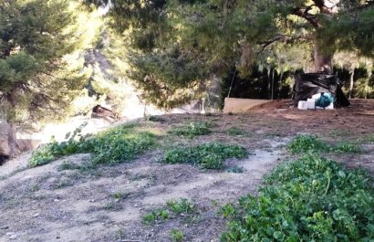 Parcela / Terreno - Reventa - Cocentaina - Cocentaina