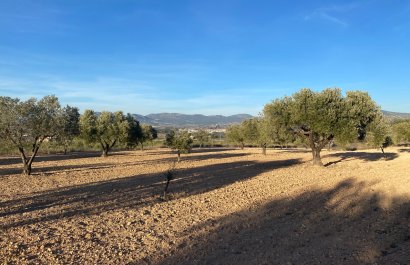 Parcela / Terreno - Reventa - Elda - Elda