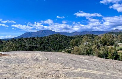 Parcela / Terreno - Reventa - Estepoa - MM-31714