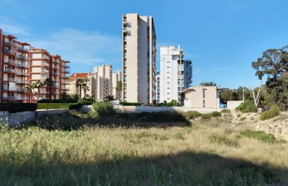 Parcela / Terreno - Reventa - Guardamar del Segura - Guardamar del Segura