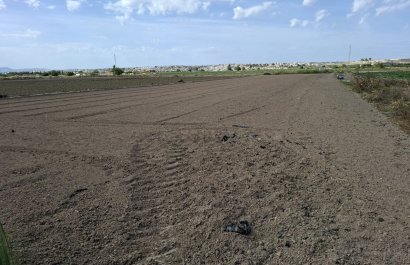 Parcela / Terreno - Reventa - Guardamar del Segura - Guardamar del Segura