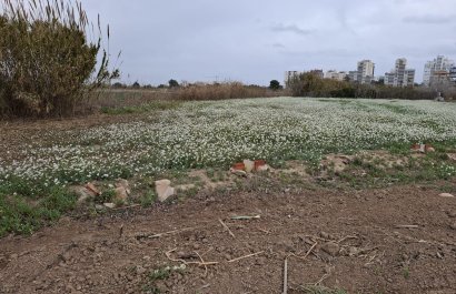 Parcela / Terreno - Reventa - Guardamar del Segura - Guardamar del Segura