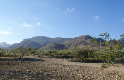 Parcela / Terreno - Reventa - Murcia - Murcia