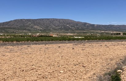 Parcela / Terreno - Reventa - Pinoso - Lel