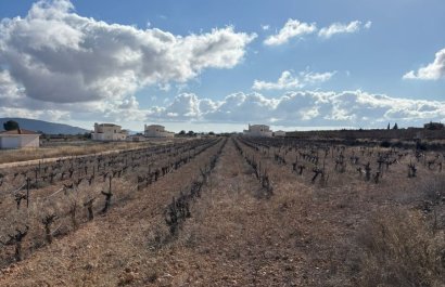 Parcela / Terreno - Reventa - Pinoso - Pinoso