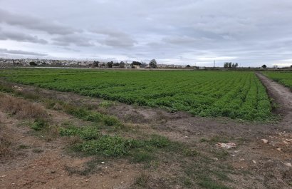 Parcela / Terreno - Reventa - San Fulgencio - San Fulgencio