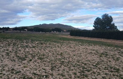 Parcela / Terreno - Reventa - Yecla - Yecla
