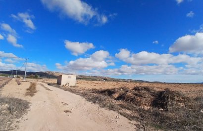 Parcela / Terreno - Reventa - Yecla - Yecla