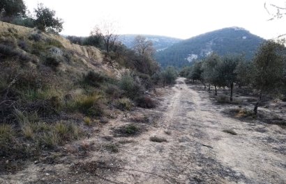 Perceel / Grond - Herverkoop - Benifallim - Benifallim