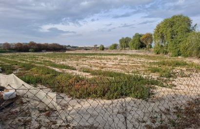 Perceel / Grond - Herverkoop - Guardamar del Segura - Guardamar del Segura
