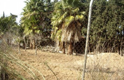 Perceel / Grond - Herverkoop - Los Alcázares - Los Alcázares
