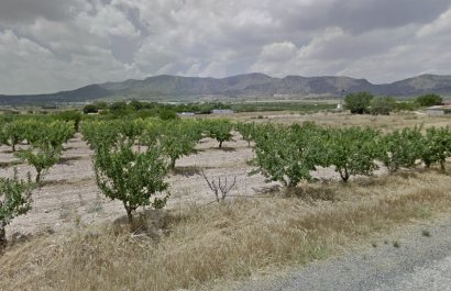 Perceel / Grond - Herverkoop - Salinas - Salinas