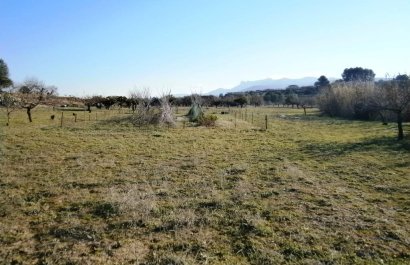 Plot / Land - Resale - Agullent - Agullent