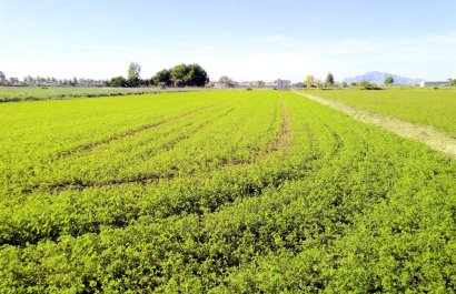 Plot / Land - Resale - Dolores - Dolores