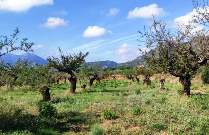 Plot / Land - Resale - Gaianes - Gaianes