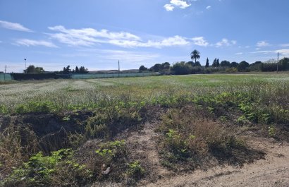 Plot / Land - Resale - Guardamar del Segura - Guardamar del Segura