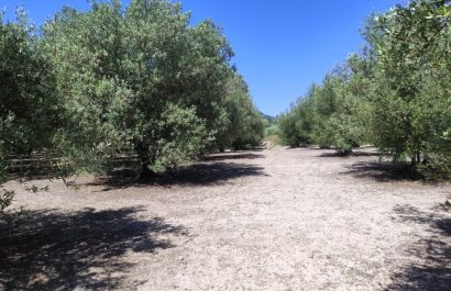 Plot / Land - Resale - Muro de Alcoy - Muro de Alcoy