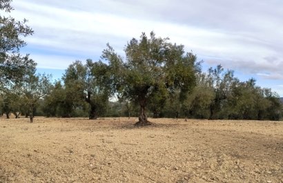 Plot / Land - Resale - Penáguila - Penáguila