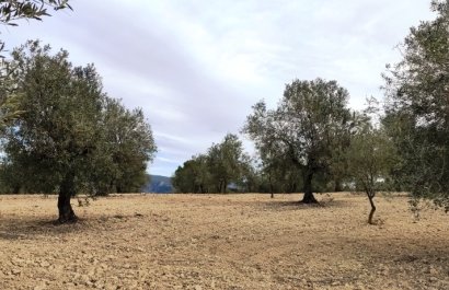 Plot / Land - Resale - Penáguila - Penáguila