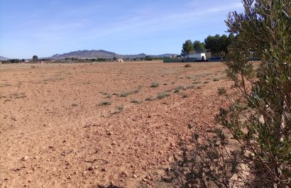 Plot / Land - Resale - Yecla - Yecla