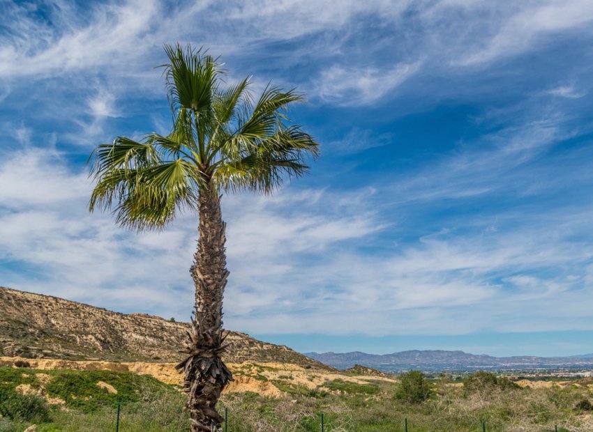 Resale - Apartment / flat - Algorfa - LA FINCA GOLF / ALGORFA