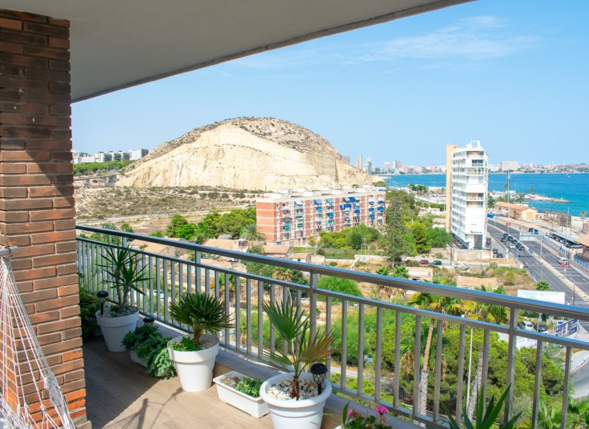 Resale - Apartment / flat - Alicante - Casco antiguo