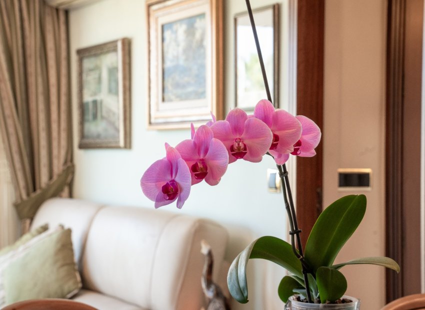 Resale - Apartment / flat - Alicante - Center