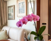 Resale - Apartment / flat - Alicante - Center