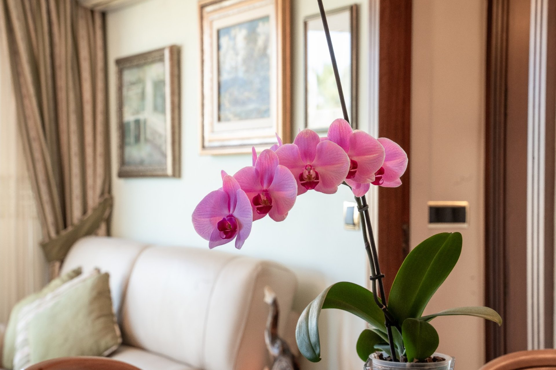 Resale - Apartment / flat - Alicante - Center