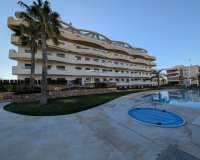 Resale - Apartment / flat - Arenales del Sol - Arenales