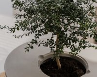 Resale - Apartment / flat - Benahavís - La Quinta