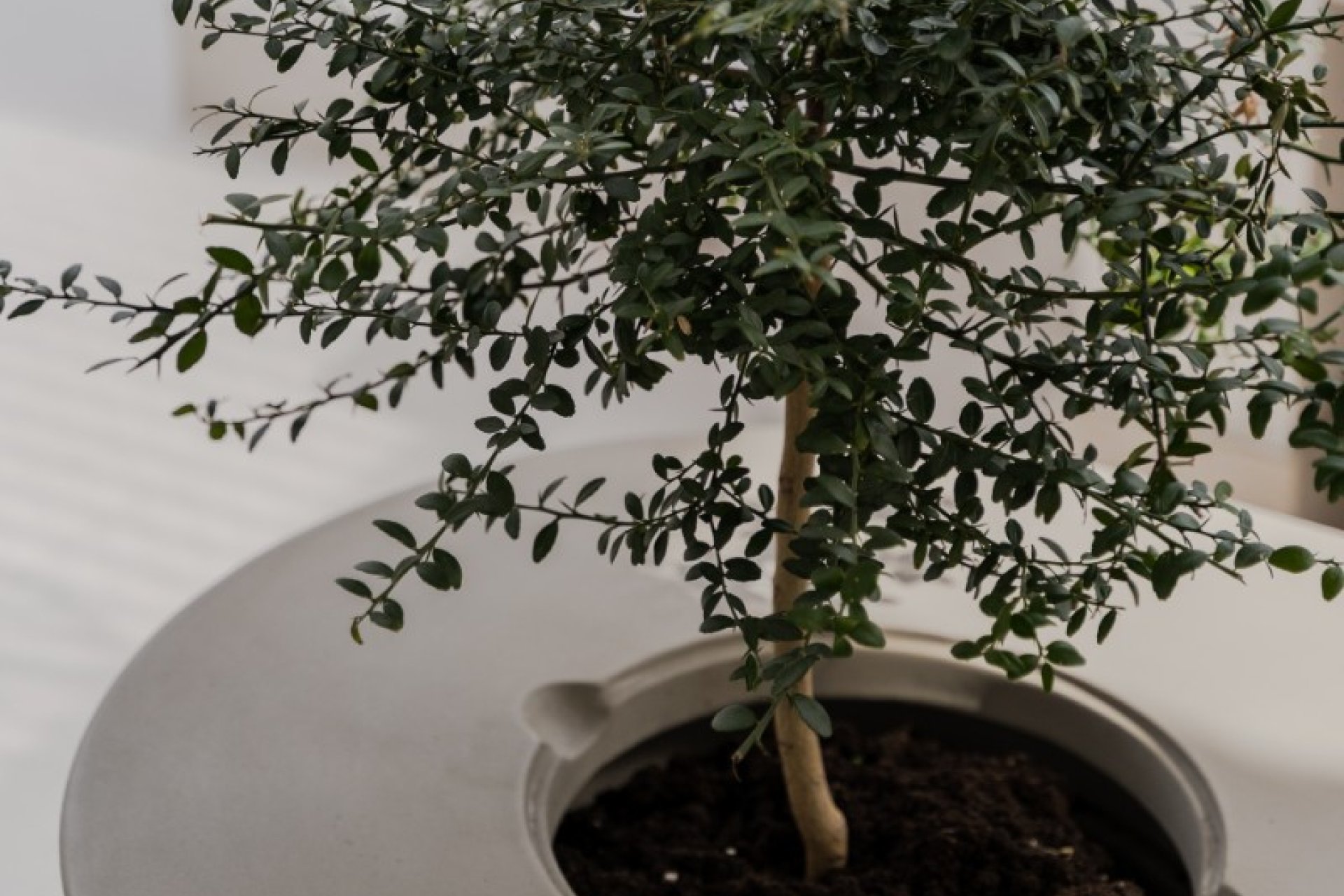 Resale - Apartment / flat - Benahavís - La Quinta