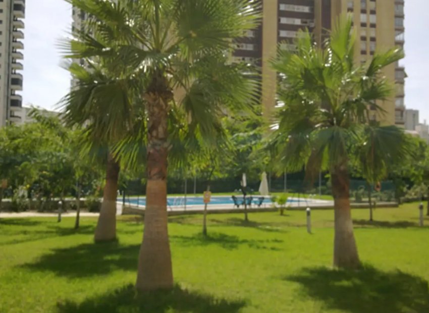 Resale - Apartment / flat - Benidorm - Levante