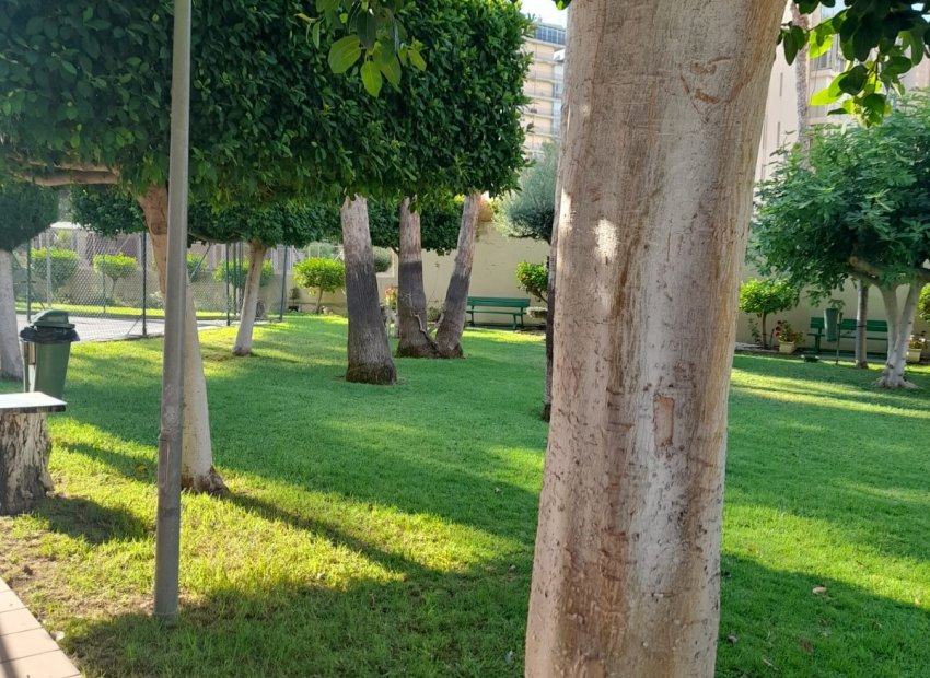 Resale - Apartment / flat - Benidorm - Levante