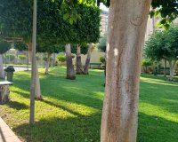 Resale - Apartment / flat - Benidorm - Levante